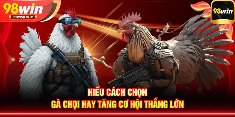 Hiểu cách chọn gà chọi hay tăng cơ hội thắng lớn